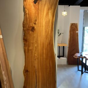 日本旃檀 九州-1