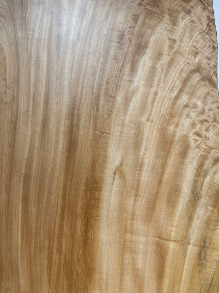 栃木 G2-C427-2 (3)