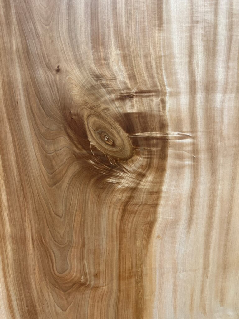 栃木 G2-C427-2 (4)