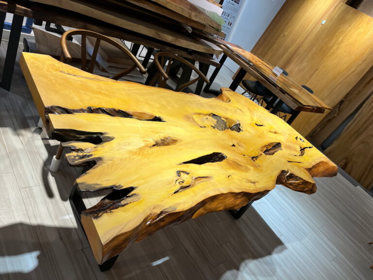 榧木 日本榧木-2 (5)