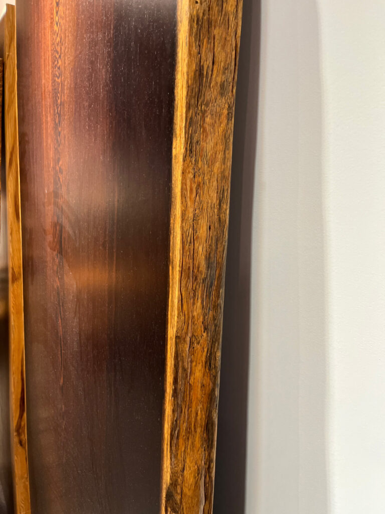 鐵刀木 無編號 (4)修