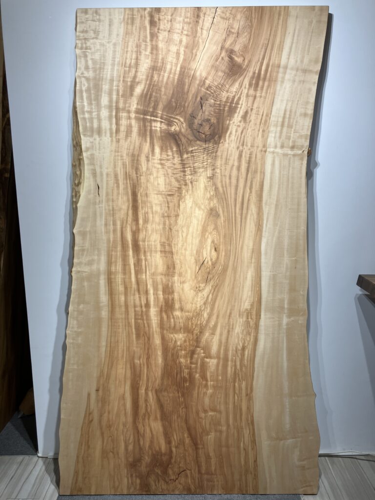 栃木3112M4-C1553_a