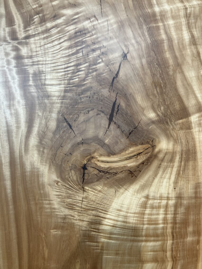 栃木3112M4-C1553_b