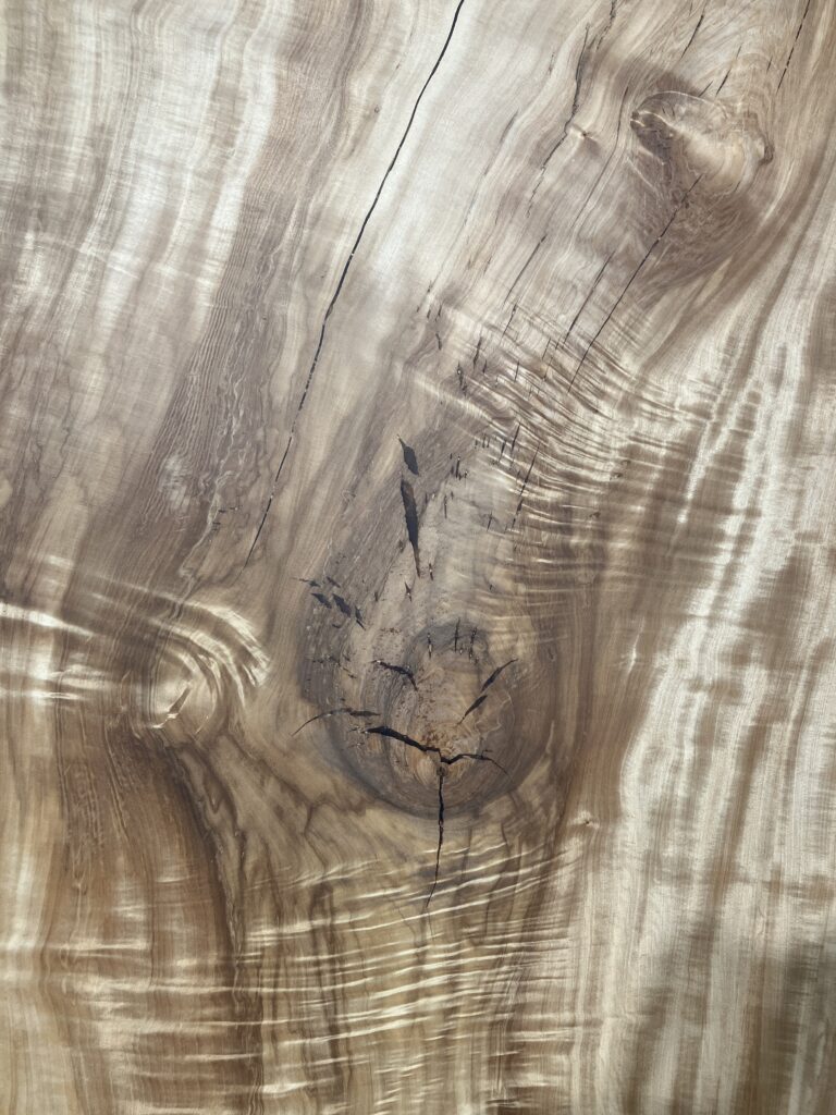 栃木3112M4-C1553_c