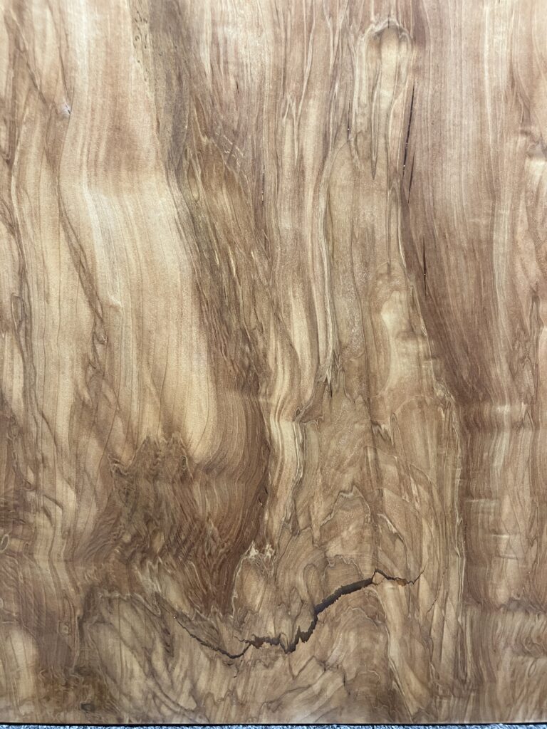 栃木3112M4-C1553_d