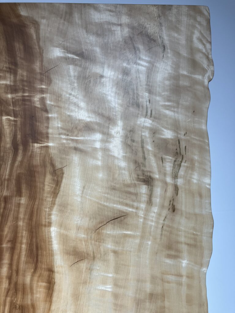 栃木3302M4-C1542_c